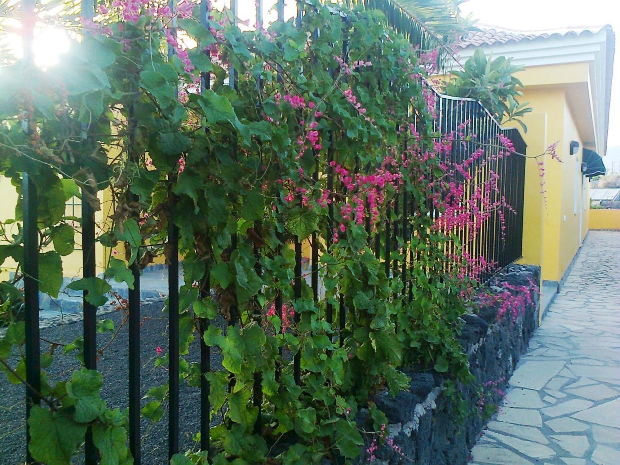 Vv Complejo Vacacional Villamaria 로스 야노스 데 아리다네 외부 사진